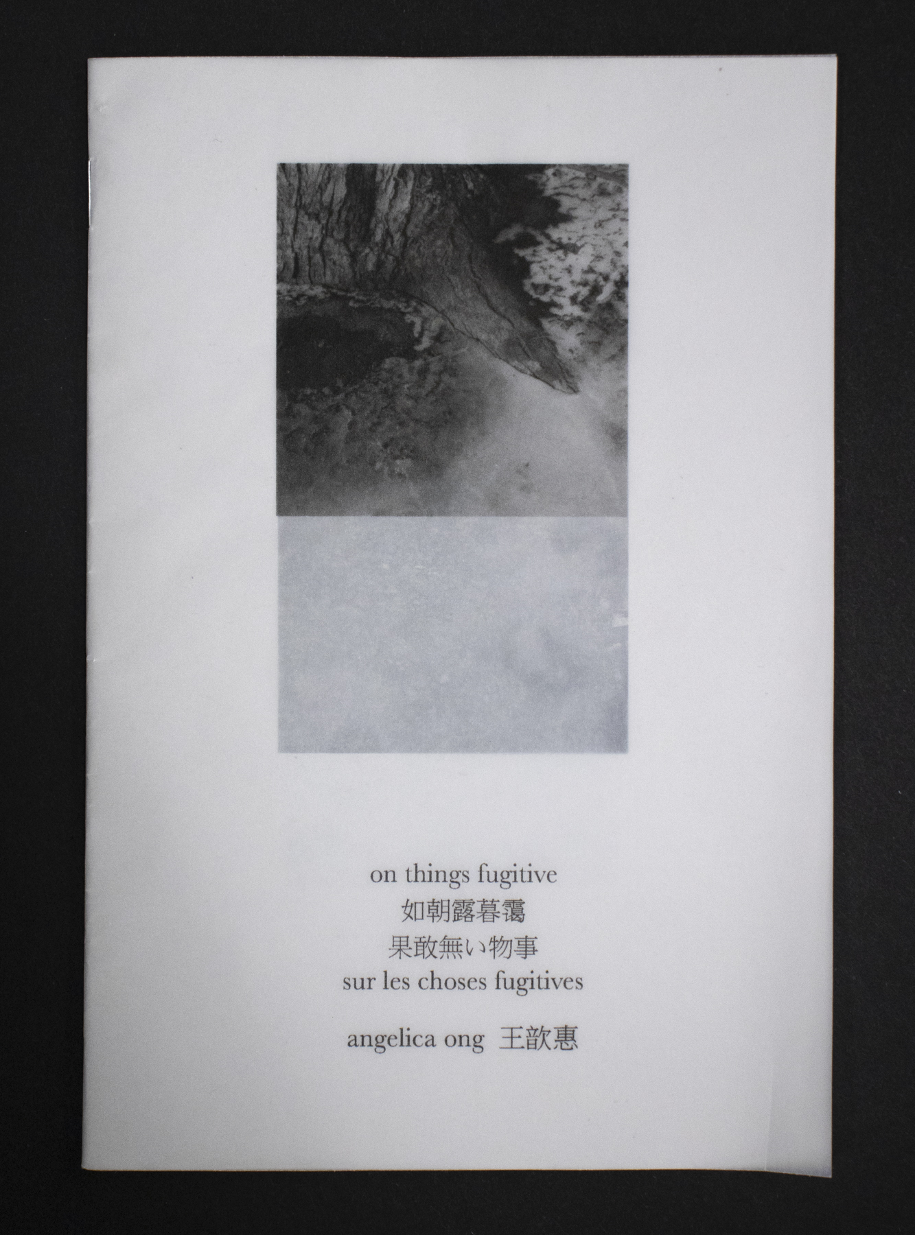 thumbnail of the zine on things fugitive 如朝露暮霭 果敢無い物事 sur les choses fugitives